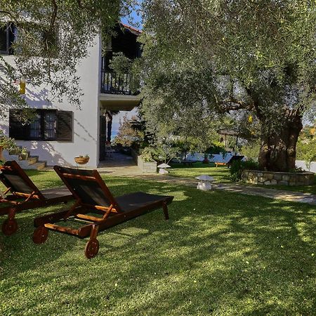 Villa The Cosy Olive Ормос-Панайяс Экстерьер фото
