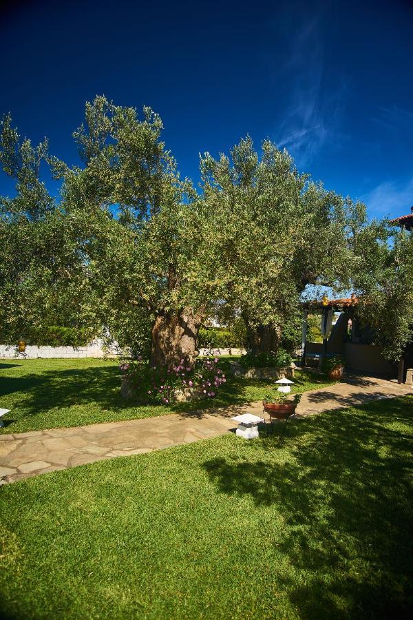 Villa The Cosy Olive Ормос-Панайяс Экстерьер фото