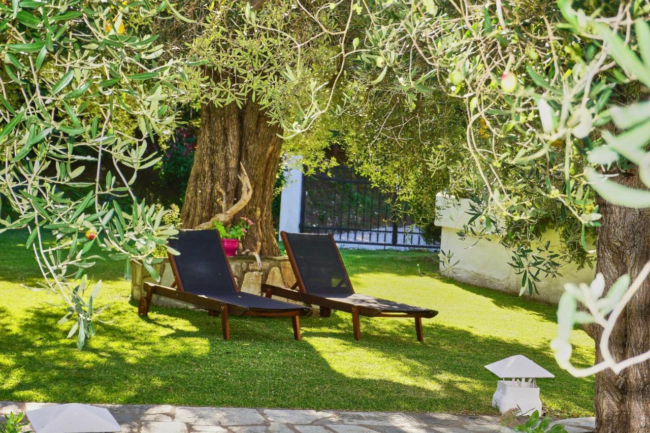 Villa The Cosy Olive Ормос-Панайяс Экстерьер фото